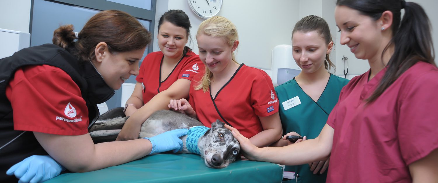 TEAM-IN-DONATION-ROOM